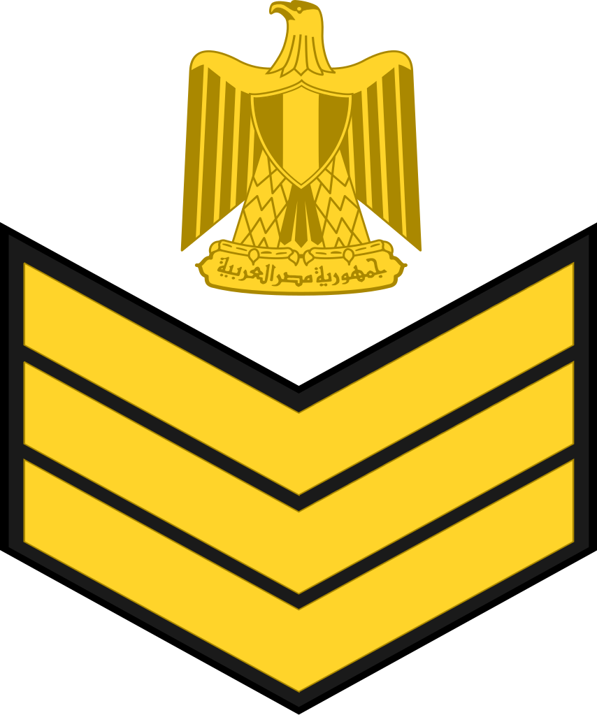 File - - Svg - Eagle Of Saladin Iraq (854x1023)