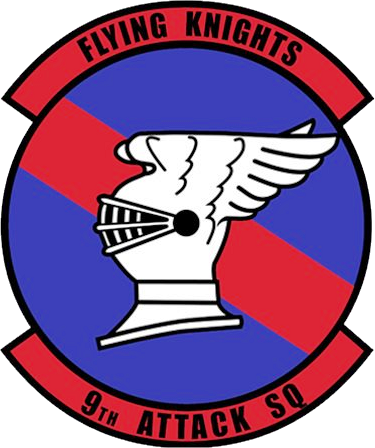 Insignia - 9th Attack Squadron Holloman Afb (375x448)