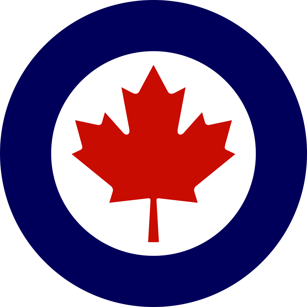 Nz Air Force Roundel Features A Flightless Bird - Royal New Zealand Air Force (1024x1024)