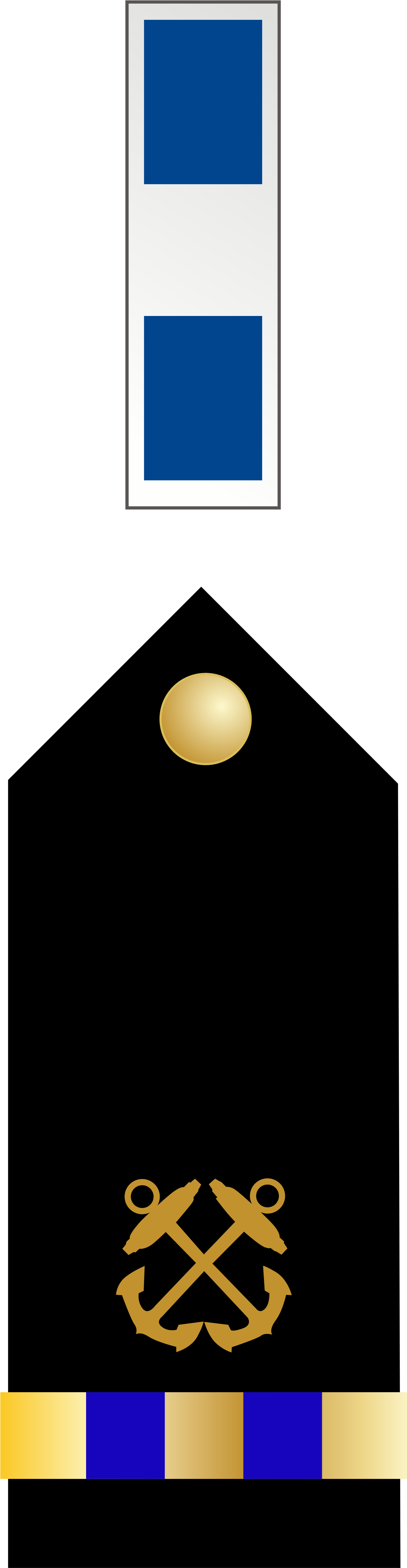 Open - Navy Cwo5 Insignia (2000x5600)