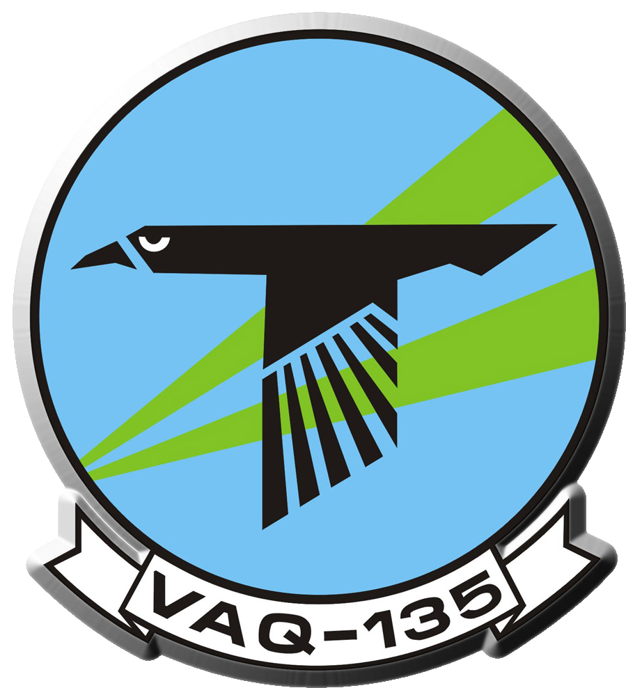 Black Raven Logo For Vaq-135 - Vaq 135 Black Ravens (915x1003)