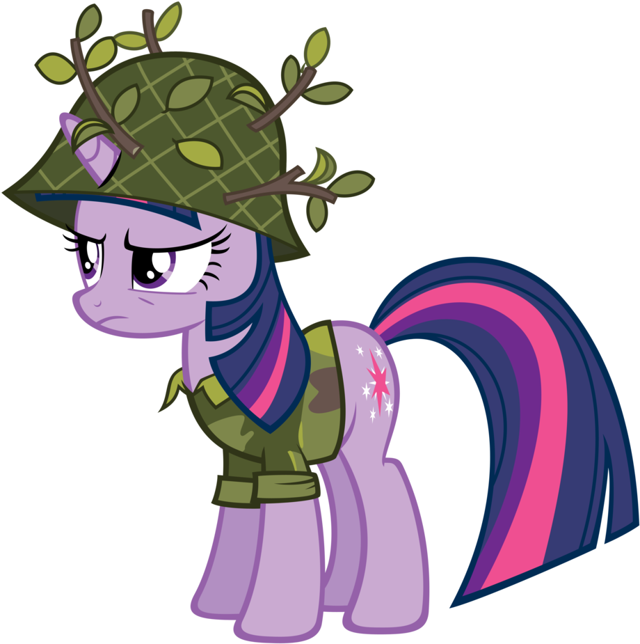 You Can Click Above To Reveal The Image Just This Once, - Twilight Sparkle Camo Png (1019x1024)