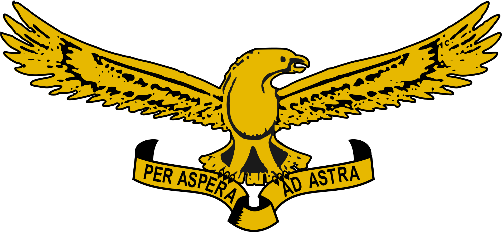 Open - South African Air Force Emblem (2000x985)