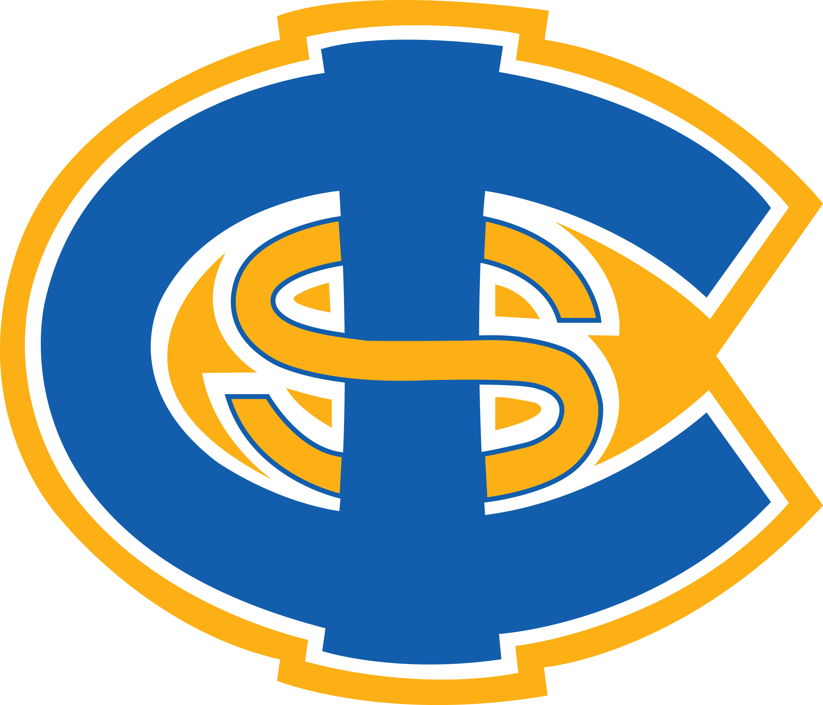 Carolina International School Comets - Carolina International School Logo (2808x2405)