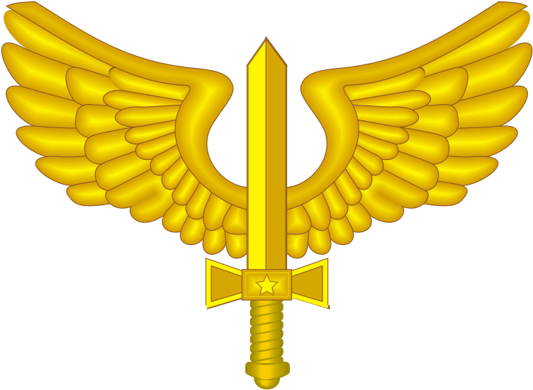 Coa Of Brazilian Air Force - Brazilian Air Force (787x600)