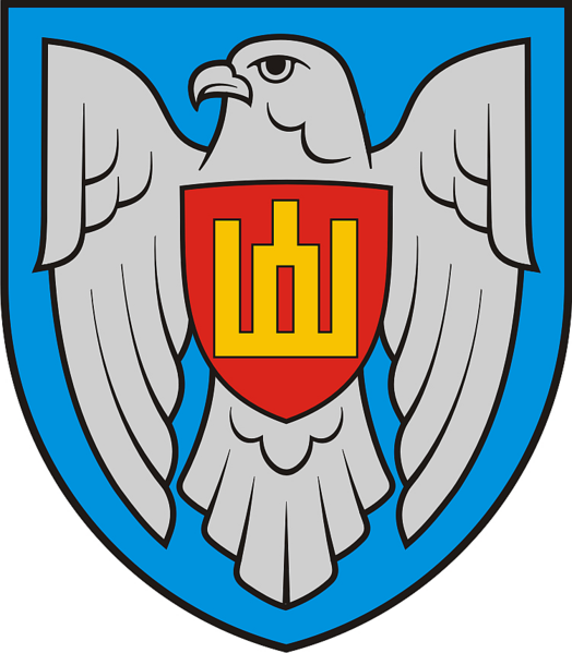 Lithuanian Air Force Emblem - Lietuvos Kariuomenes Oro Pajegos (524x599)