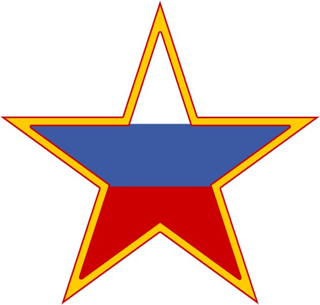 Russian Air Force Roundel 1 By Alexeikazansky - Russian Air Force Logo (628x598)