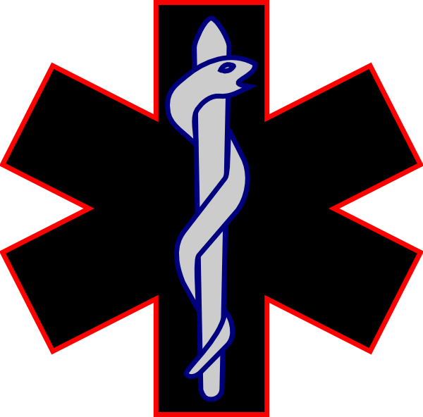 Paramedic Logo (600x592)