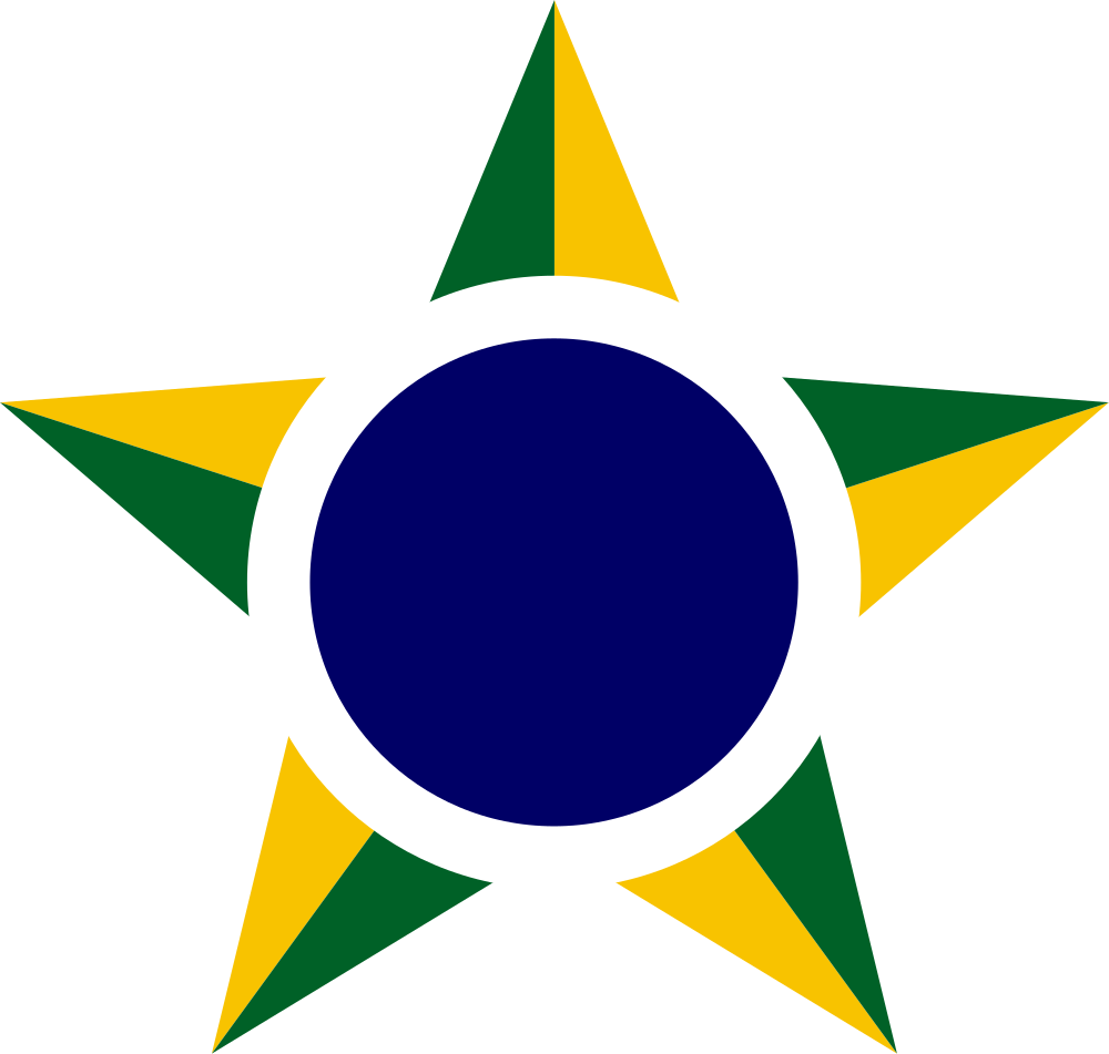 Brazilian Air Force Roundel - Brazilian Air Force Logo (1000x951)
