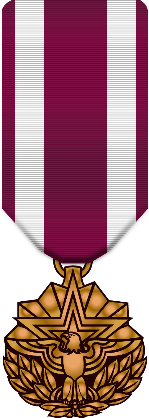 Meritorious Service Medal - Clipart Distinguished Service Medal (504x1421)
