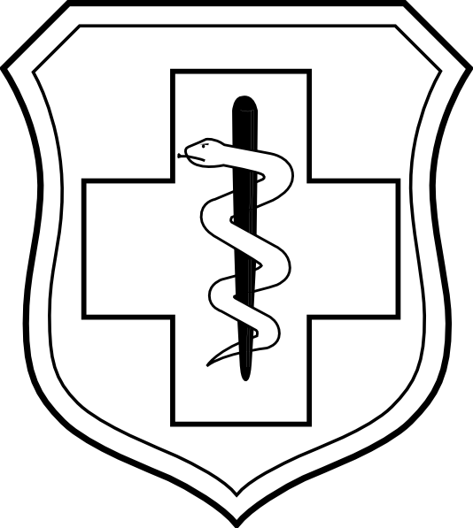 This Image Rendered As Png In Other Widths - Air Force Medical Badge (534x597)