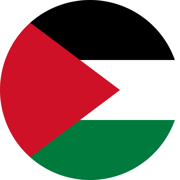 Palestinian Air Force Roundel By Razgriz2k9 - Palestine Air Forces Logo (600x600)