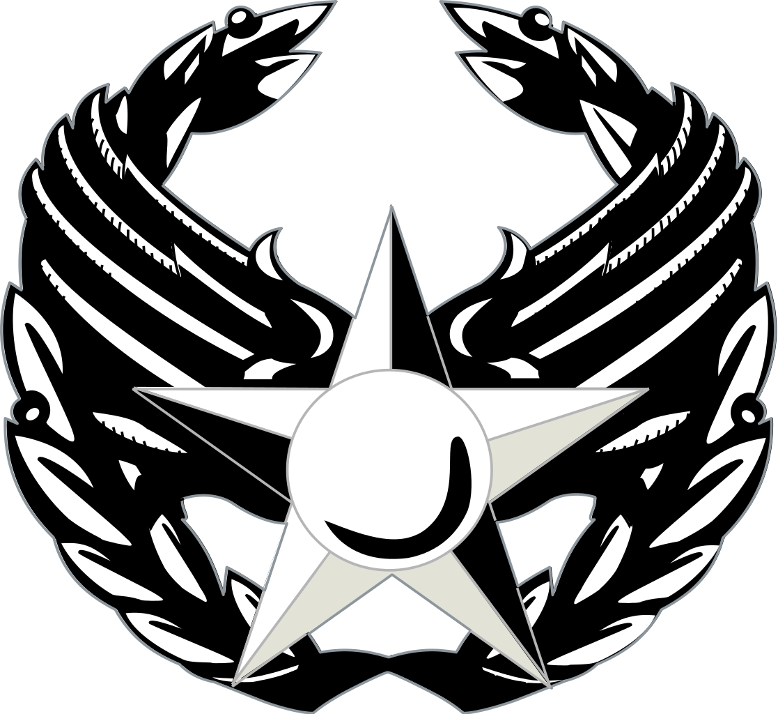 United States Air Force Commander's Insignia - United States Air Force (1117x1024)