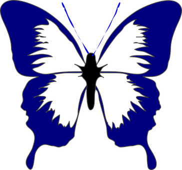 Butterfly Insect Spring Navy Blue Beautifu - Butterfly Black And White Clipart (364x340)