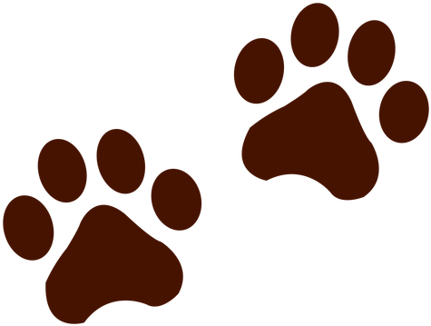 Footprint Clipart Transparent - Cat Footprint Png (512x512)