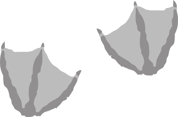 View Image - Webbed Footprint (600x393)