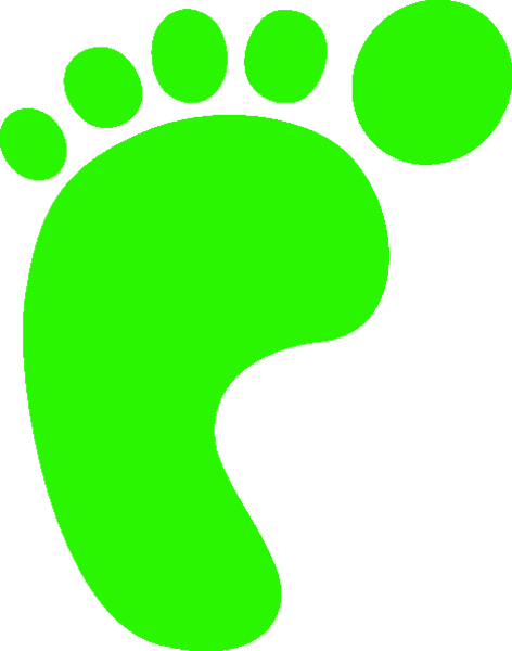 L Foot Print Green A - Life Cycle Key Words (472x600)