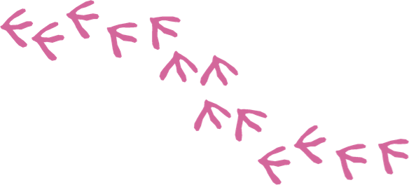 Chicken Footprint Clipart - Chicken Footprints Clip Art Free (584x264)