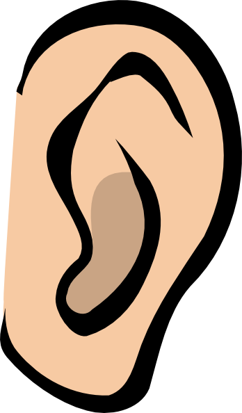 Ear Clip Art - Ear Clip Art Png (348x594)