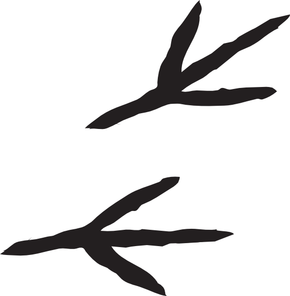 Turkey Feet Clip Art Clipart - Bird Footprints Clipart (588x599)