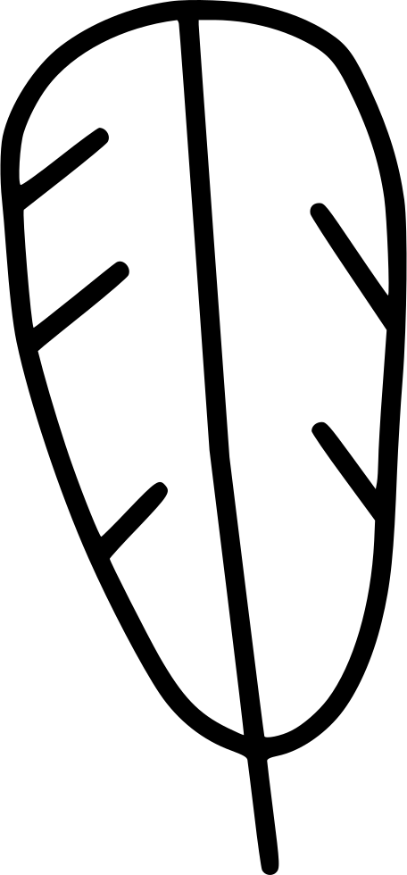 Turkey Eagle Feather Native American Svg Png Icon Free - Drawing (456x980)