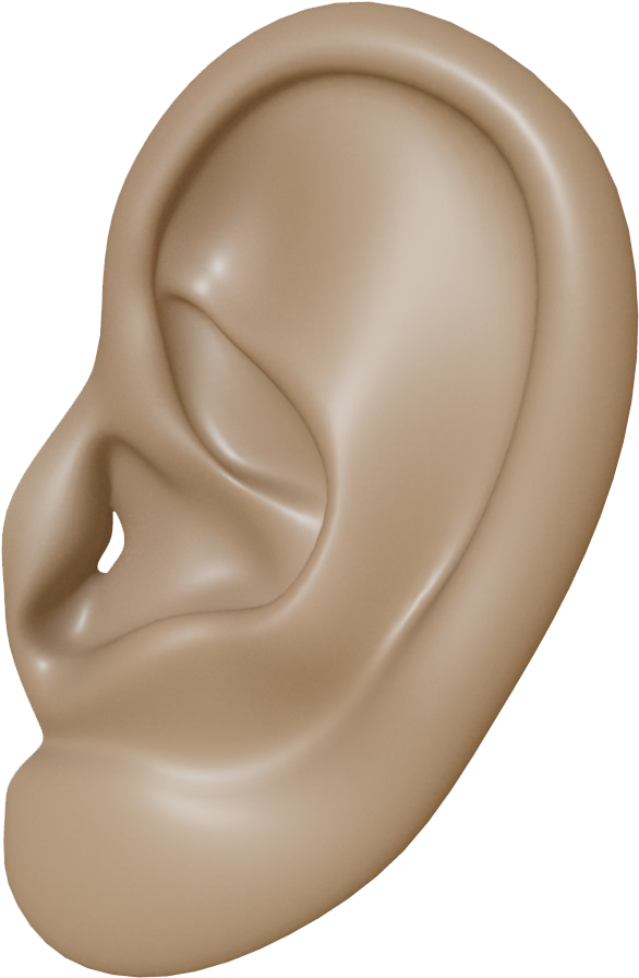 Ear - Wavefront .obj File (1000x1000)