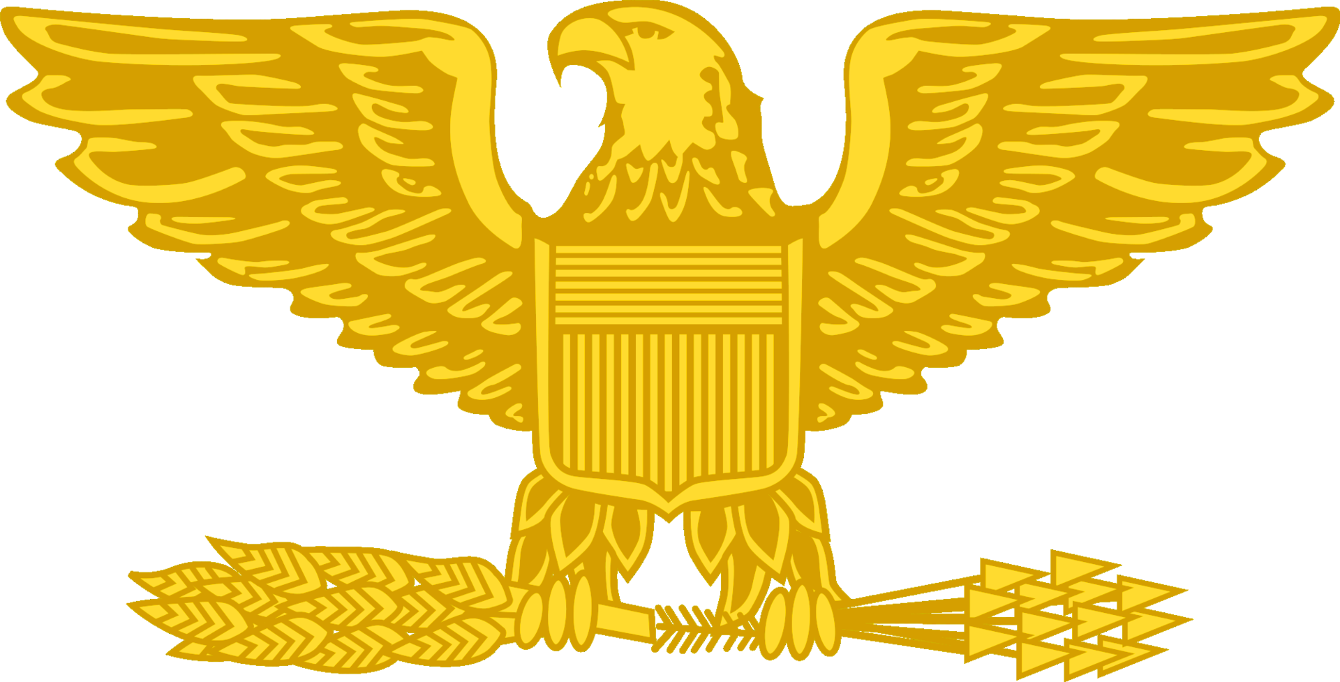 Cornol Clipart Eagle - Air Force Colonel Insignia (1920x977)