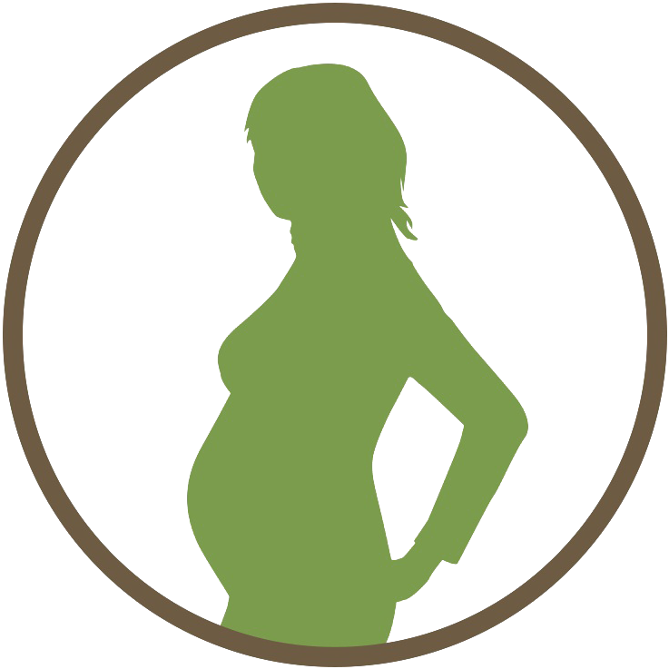 Pregnancy Png Hd - Pregnancy Icon Png (800x800)