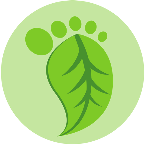 Vector Graphics (500x500)