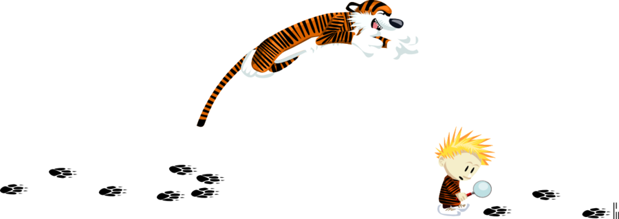 Calvin And Hobbes - Cartoon (900x319)