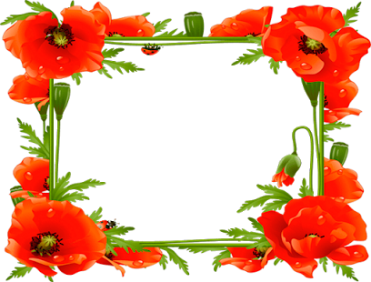 Frames For Flowers And Music - Poppy Frame (665x505)