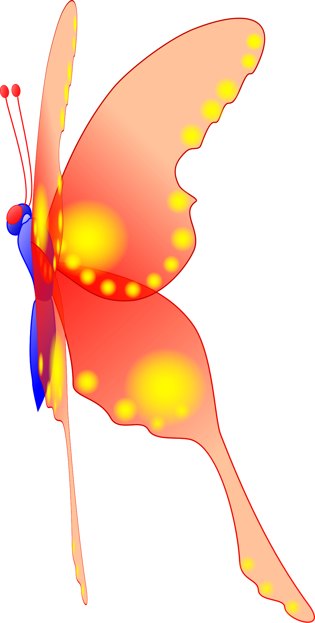 Big Image - Butterfly (1048x2070)