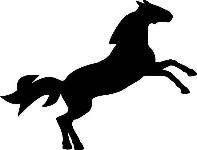 Jumping Horse, Animal, Countryside, Jumping - Horse Jumping Silhouette Png (640x488)