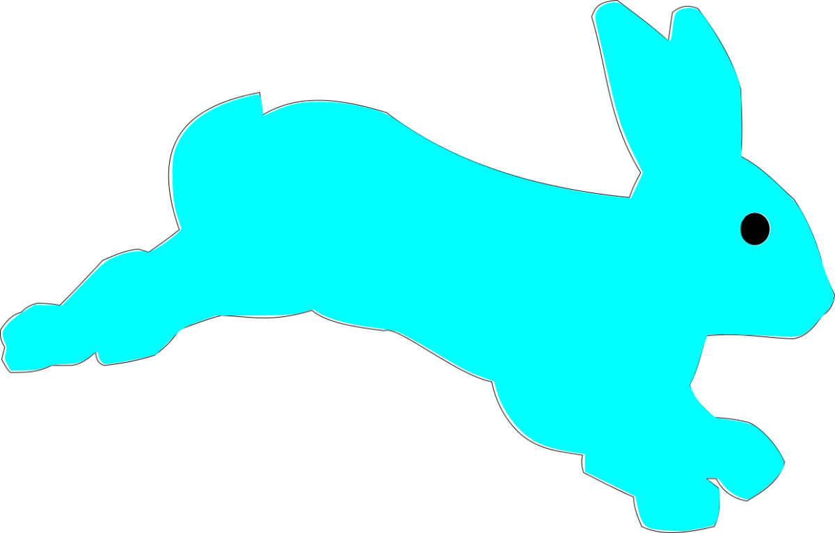 Chess Bunny - Domestic Rabbit (1200x767)