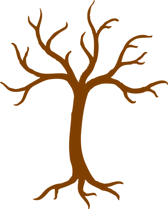 Autumn Tree Clip Art - Tree Trunk Clipart (580x720)