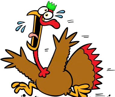 Turkeyo - Turkey Shoot (380x339)
