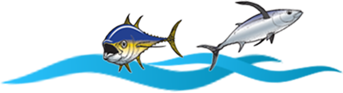 255-3128 - Atlantic Blue Marlin (1104x300)
