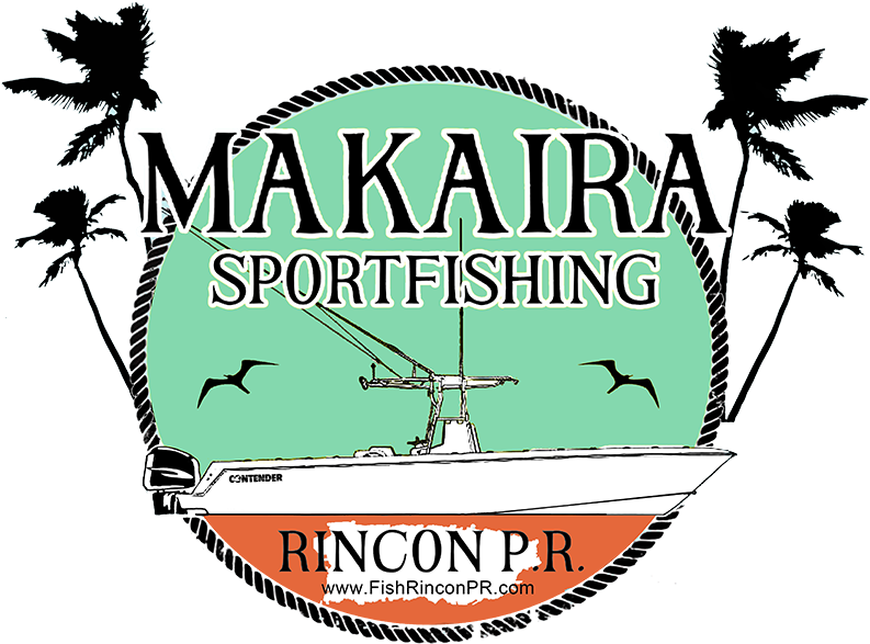 Fish Mahi, Wahoo, Tuna, Marlin, Kingfish, Spearfish, - Illustration (800x800)
