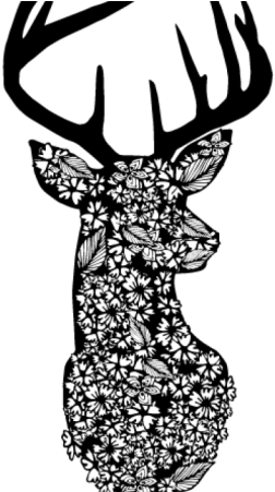 Floral Wildlife Prints - Black Deer Head (800x450)