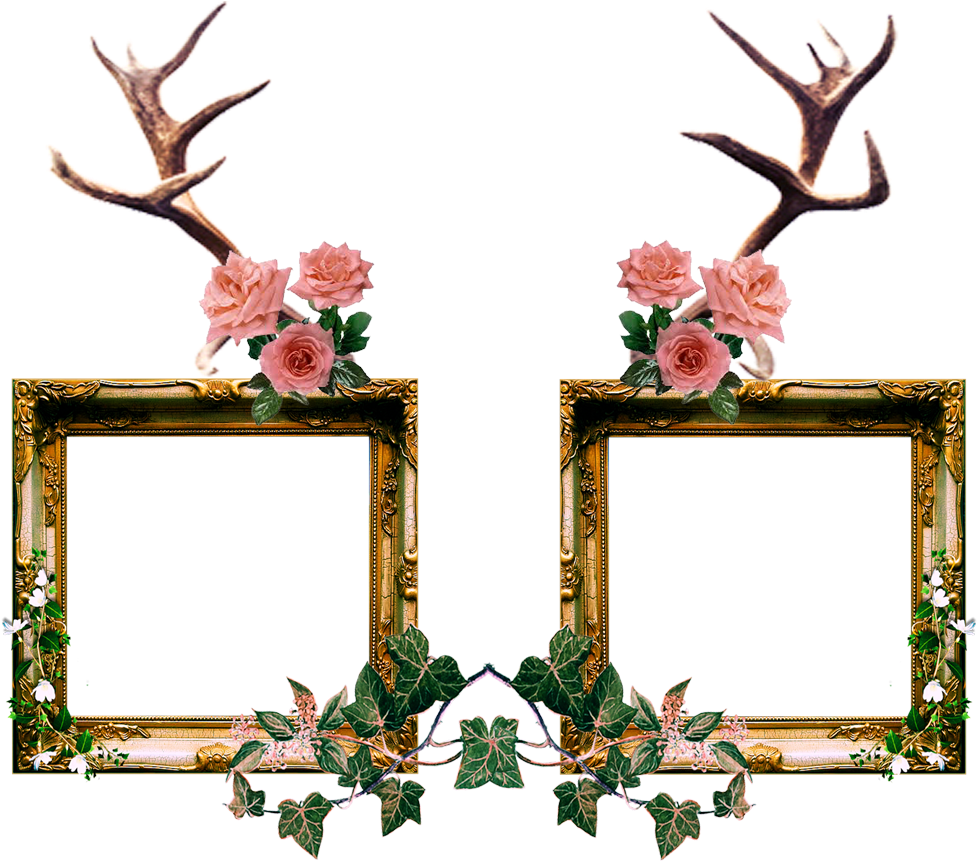 Mori Girl Frame By Queenobscurepairings Mori Girl Frame - Transparent Vintage Frame Png Hd (1000x875)