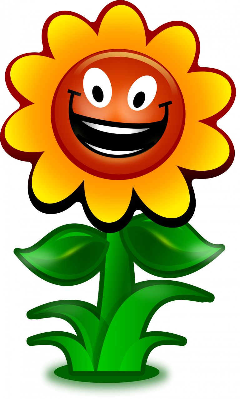 Luxury Flower Cartoon Pictures Clip Art Preschool Photos - Sunflower Clipart (768x1274)