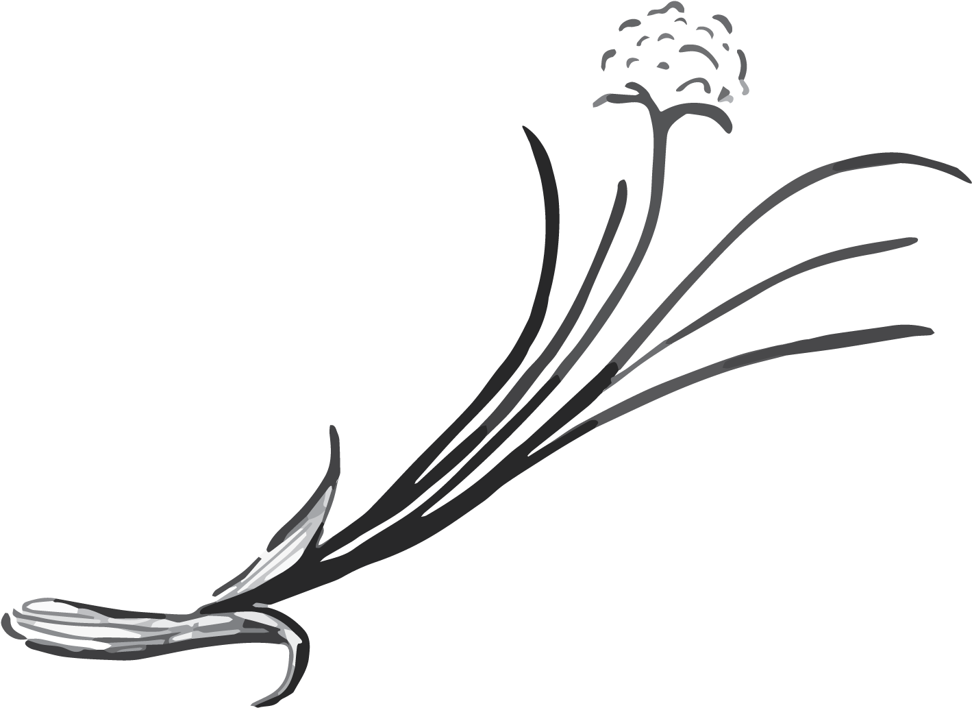 Miramar Farms Cheddar Chive Scones - Line Art (2084x1393)