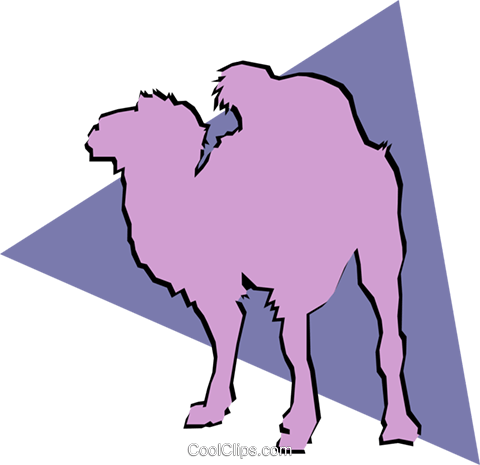 Camels Royalty Free Vector Clip Art Illustration - Camels Royalty Free Vector Clip Art Illustration (480x465)