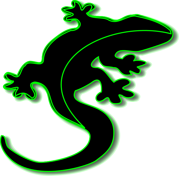 Birds Eye View Lizard (600x591)