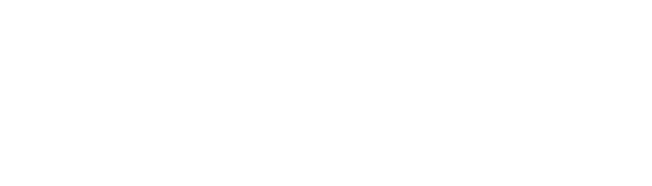 We Never Settle - Graphic Design (935x267)