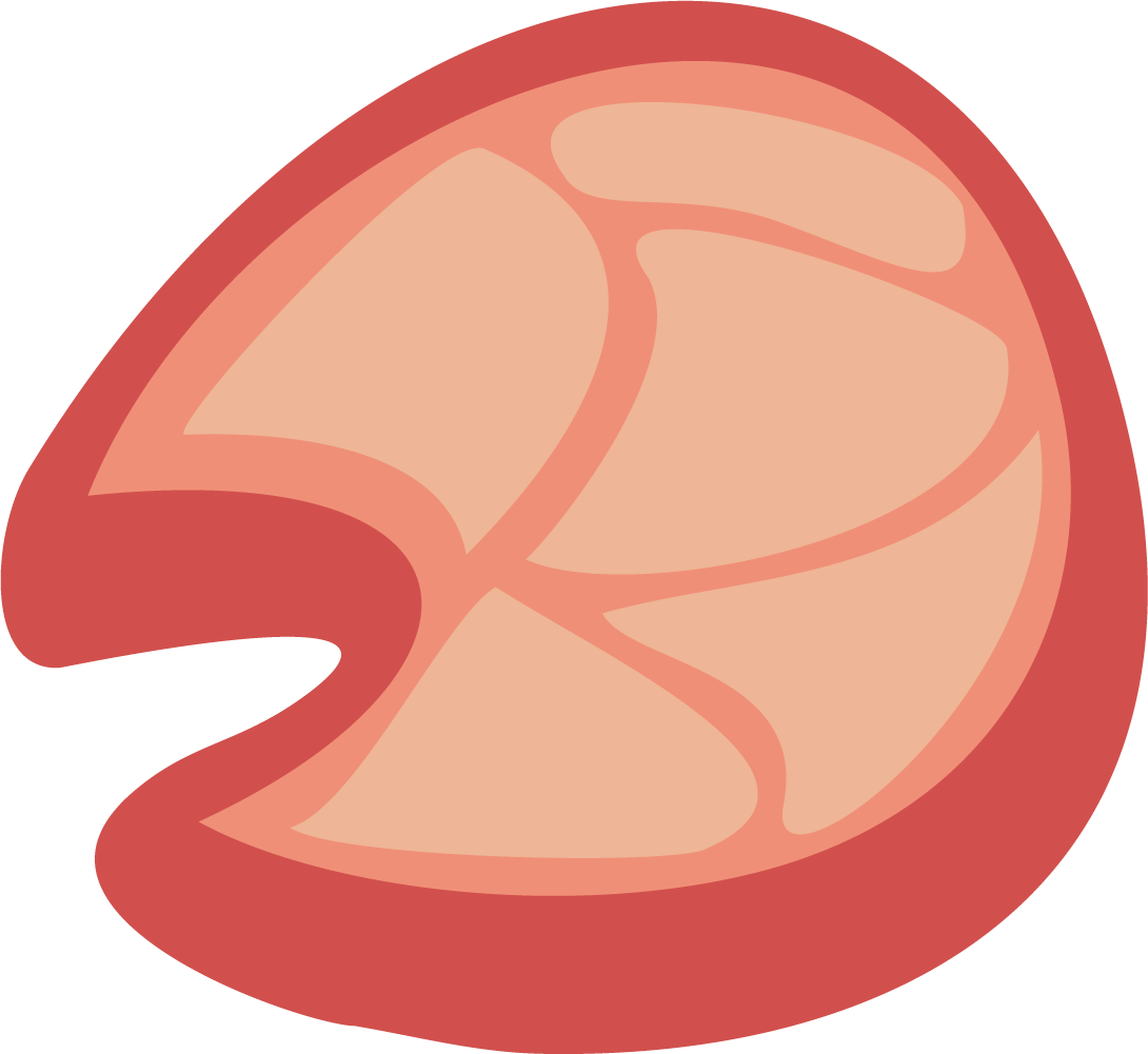 Bacon Clipart Tocino - Bacon Clipart Tocino (1090x1001)