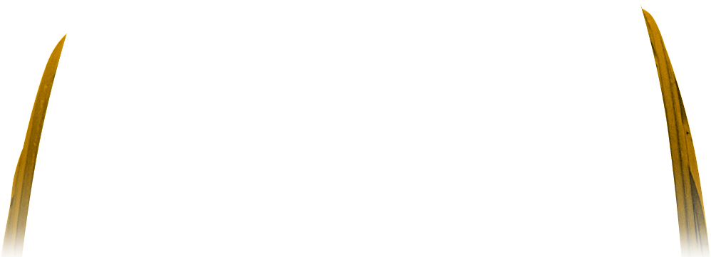 Continuous Traction In Off Road Situations - Continuous Traction In Off Road Situations (1080x600)