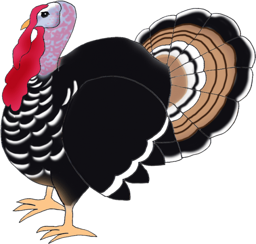 Free Png Download Turkey Bird Png Images Background - Turkey Bird Png (851x811)