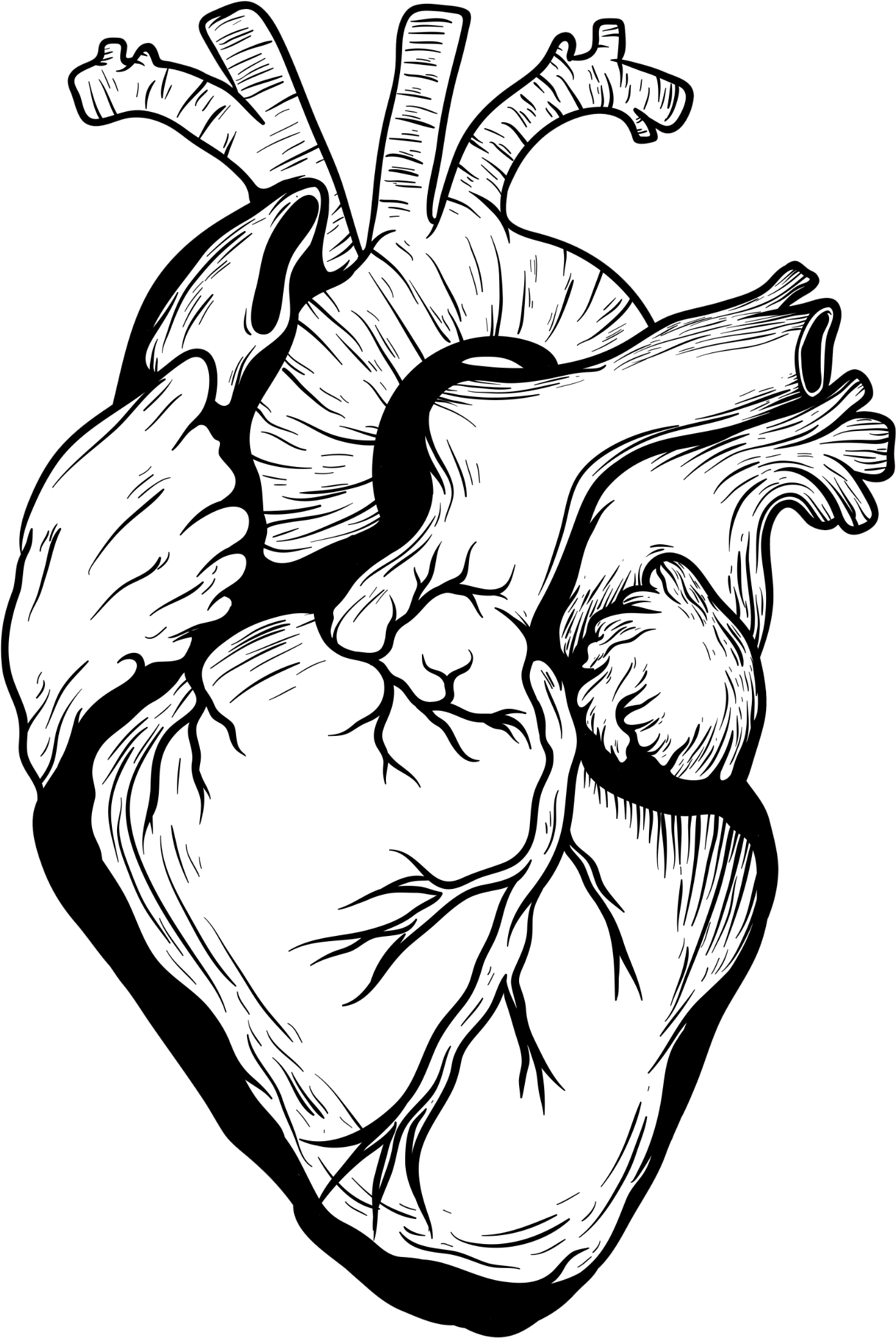 2362 X 2362 9 - Heart Drawing Real Png (2362x2362)