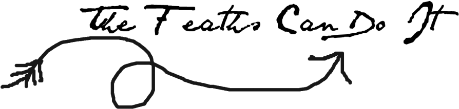 The Feaths Can Do It - Don Pollo (1040x249)